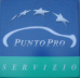 Punto_pro